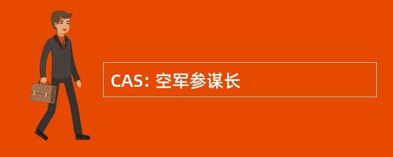 CAS: 空军参谋长