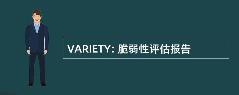 VARIETY: 脆弱性评估报告