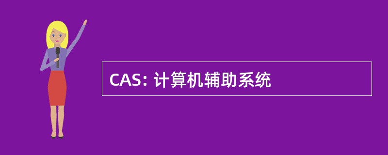 CAS: 计算机辅助系统