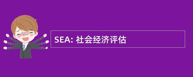 SEA: 社会经济评估