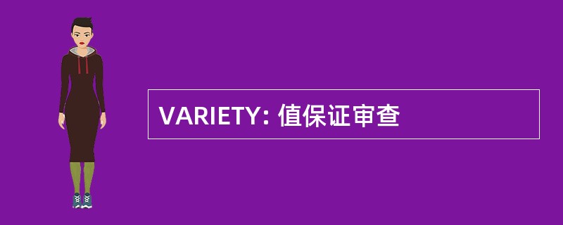 VARIETY: 值保证审查