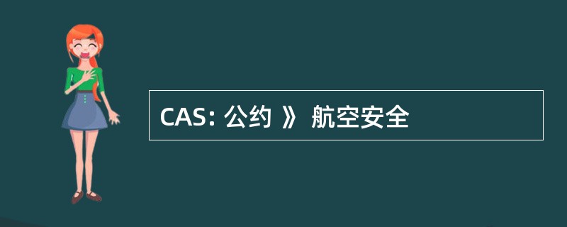 CAS: 公约 》 航空安全