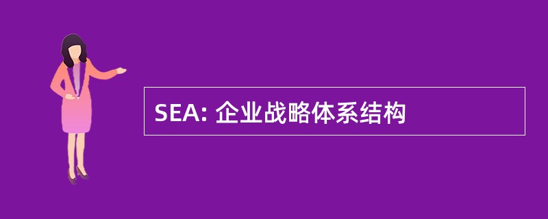 SEA: 企业战略体系结构