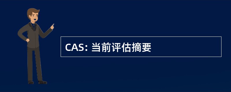 CAS: 当前评估摘要