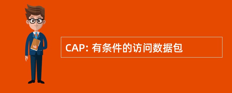 CAP: 有条件的访问数据包