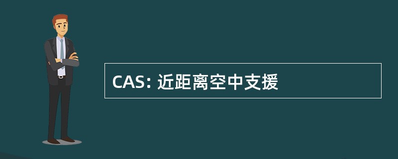 CAS: 近距离空中支援