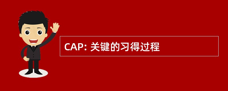 CAP: 关键的习得过程