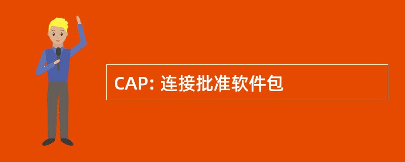 CAP: 连接批准软件包