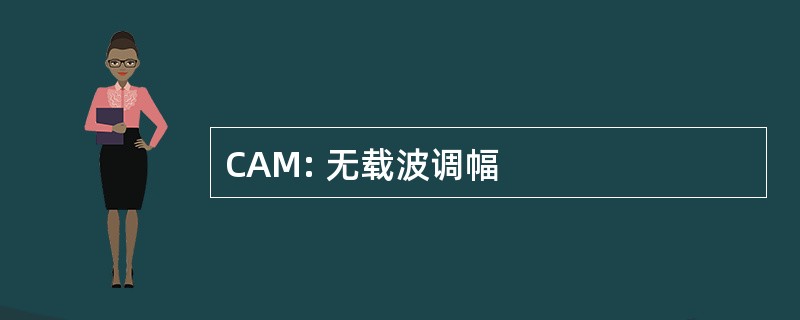 CAM: 无载波调幅