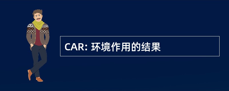 CAR: 环境作用的结果