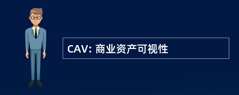 CAV: 商业资产可视性