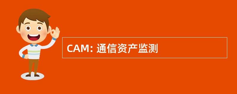 CAM: 通信资产监测