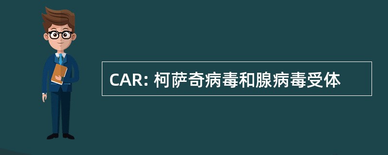 CAR: 柯萨奇病毒和腺病毒受体