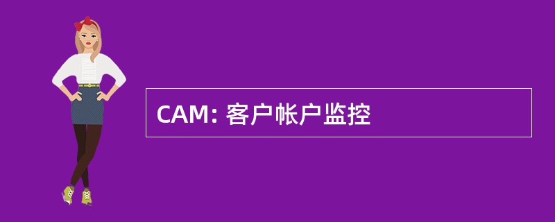 CAM: 客户帐户监控