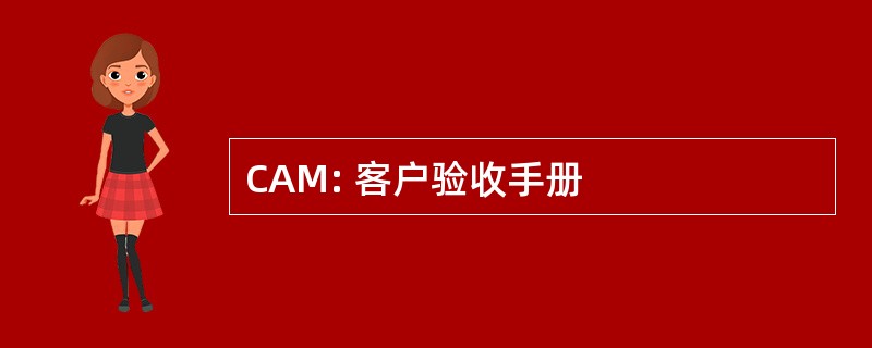 CAM: 客户验收手册