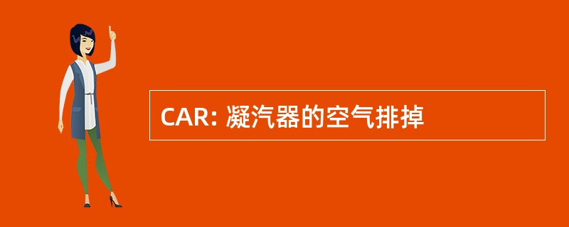 CAR: 凝汽器的空气排掉