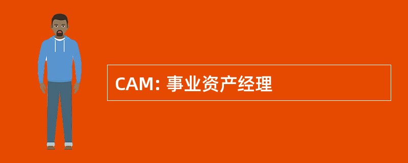 CAM: 事业资产经理