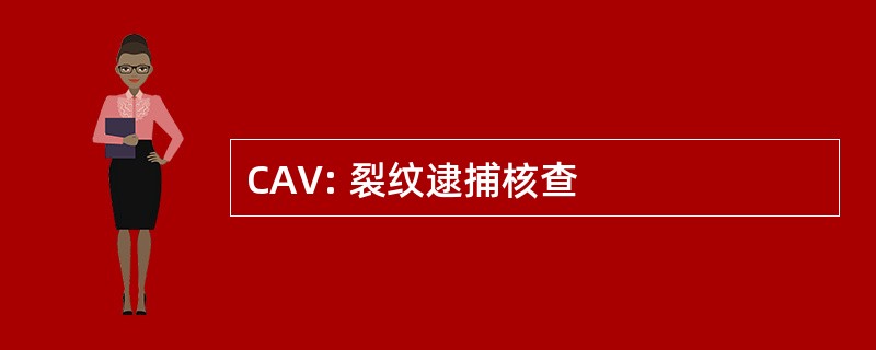 CAV: 裂纹逮捕核查