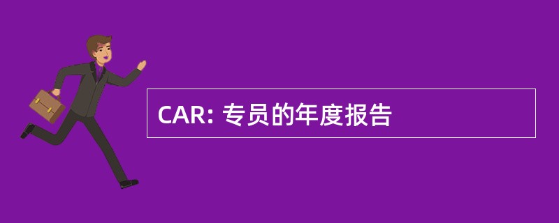 CAR: 专员的年度报告