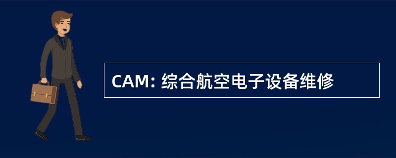 CAM: 综合航空电子设备维修