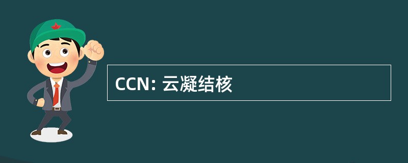 CCN: 云凝结核