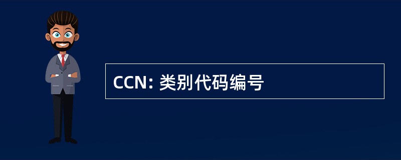 CCN: 类别代码编号