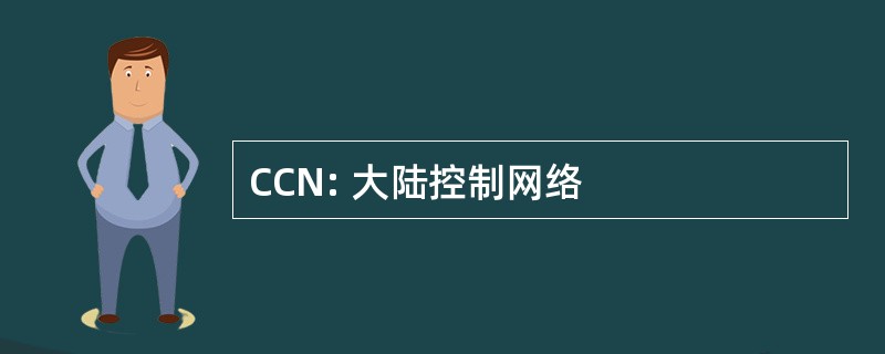 CCN: 大陆控制网络