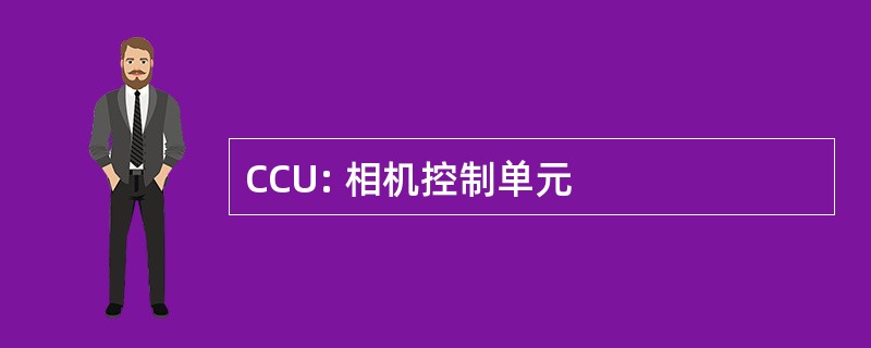 CCU: 相机控制单元