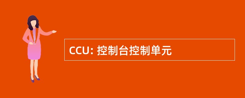 CCU: 控制台控制单元