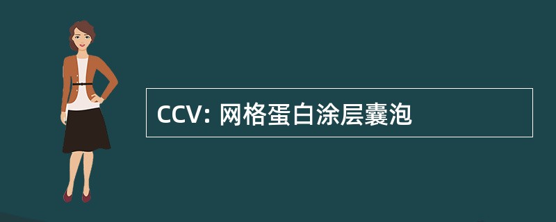 CCV: 网格蛋白涂层囊泡