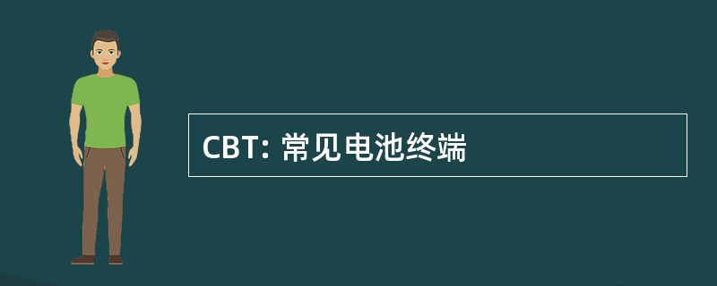 CBT: 常见电池终端