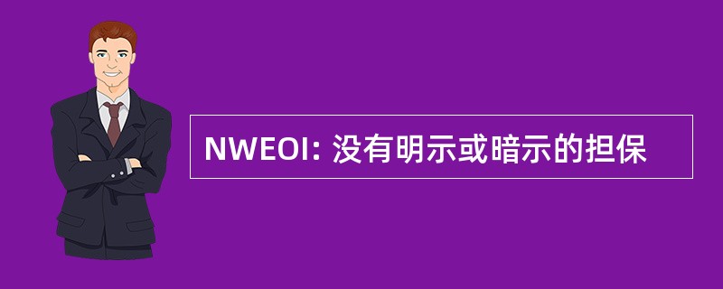 NWEOI: 没有明示或暗示的担保