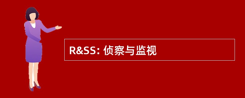 R&amp;SS: 侦察与监视