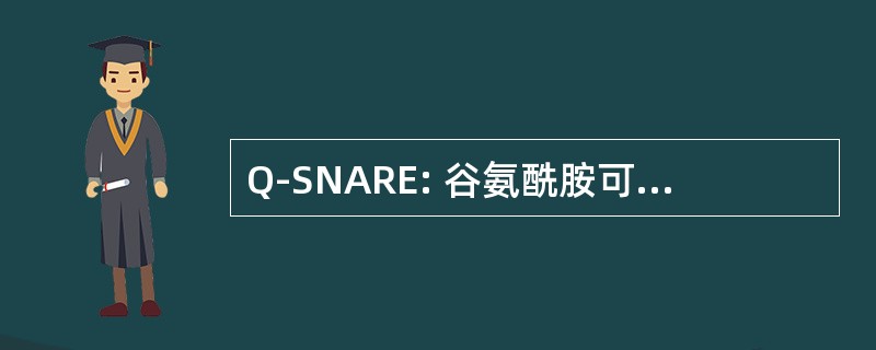 Q-SNARE: 谷氨酰胺可溶性 NSF 附件蛋白受体