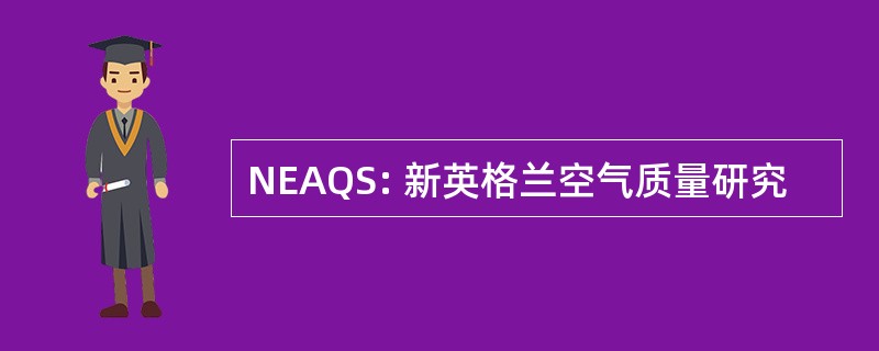 NEAQS: 新英格兰空气质量研究