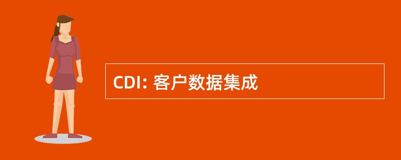 CDI: 客户数据集成