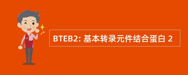 BTEB2: 基本转录元件结合蛋白 2