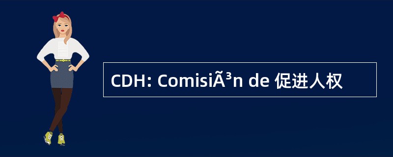 CDH: ComisiÃ³n de 促进人权