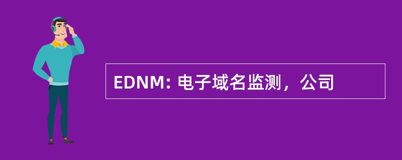 EDNM: 电子域名监测，公司