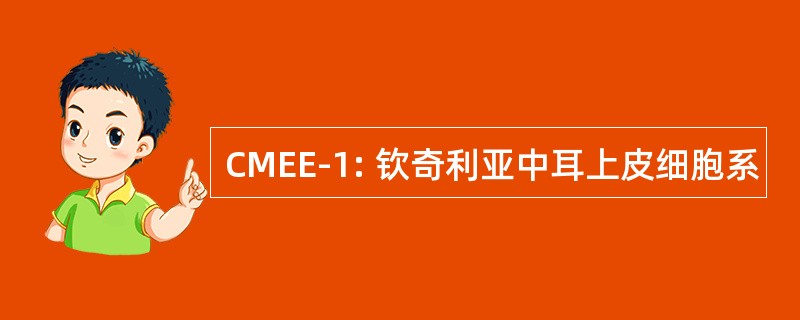 CMEE-1: 钦奇利亚中耳上皮细胞系