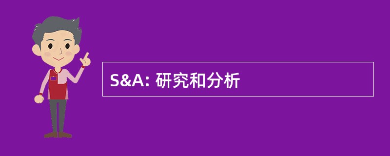 S&amp;A: 研究和分析