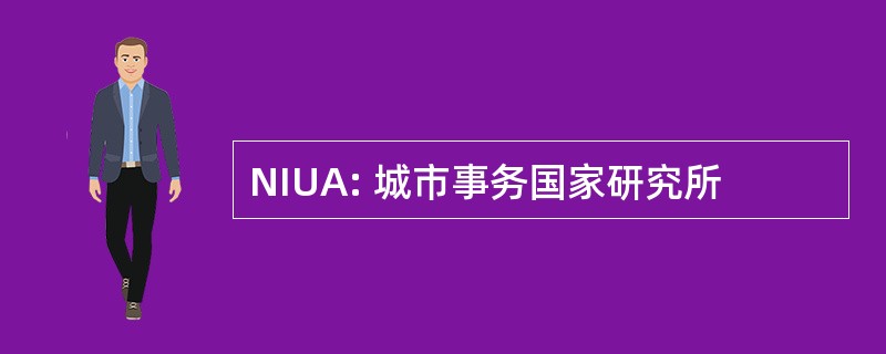 NIUA: 城市事务国家研究所