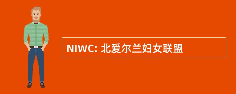 NIWC: 北爱尔兰妇女联盟