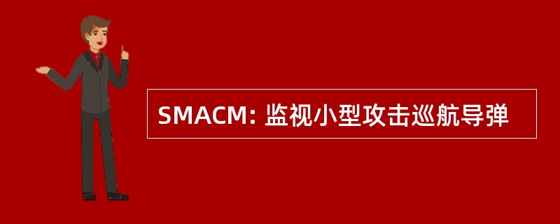 SMACM: 监视小型攻击巡航导弹