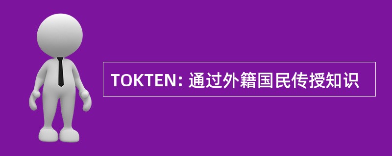 TOKTEN: 通过外籍国民传授知识