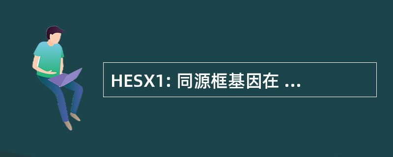 HESX1: 同源框基因在 ES 细胞中的表达