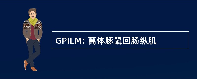 GPILM: 离体豚鼠回肠纵肌