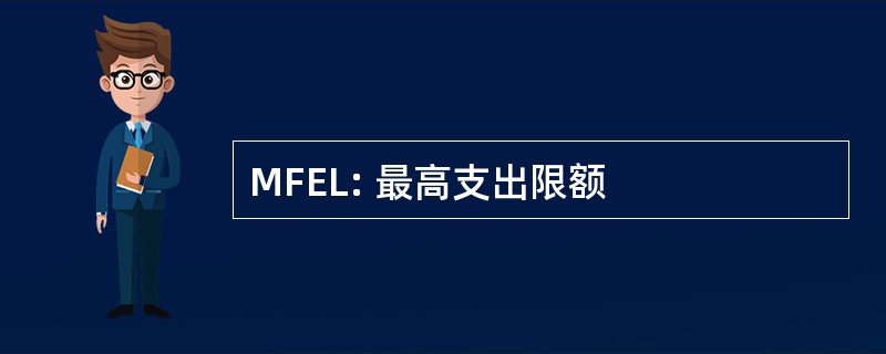 MFEL: 最高支出限额