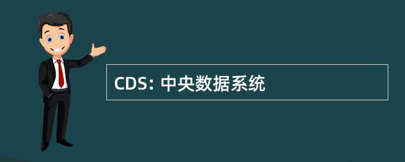 CDS: 中央数据系统