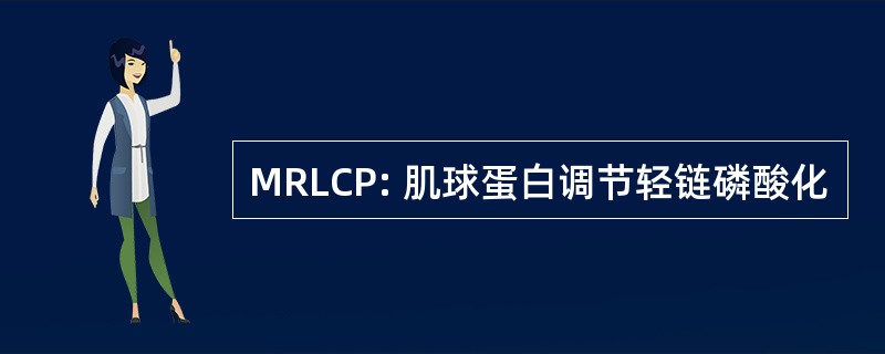 MRLCP: 肌球蛋白调节轻链磷酸化